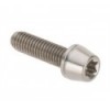 Tornillo de titanio Racing Line M6x22mm