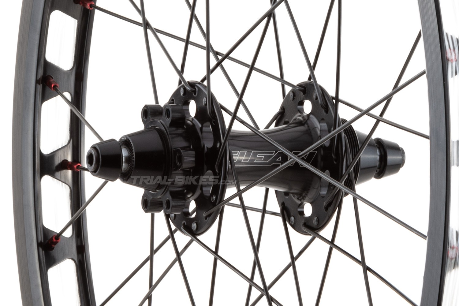 20 spoke rear hub